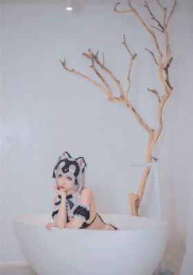 我的二哥二嫂电视剧